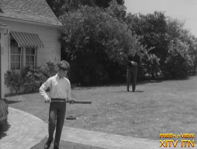XITV FREE <> VIEW� Bewitched! Starring Elizabeth Montgomery and Craig Hundley!