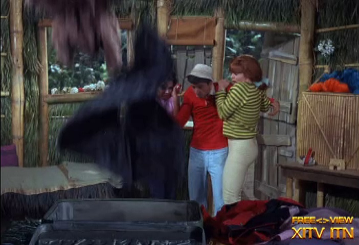 XITV FREE <> VIEW� Gilligan's Island! Starring Tina Louise, Dawn Wells, and Natalie Schafer!
